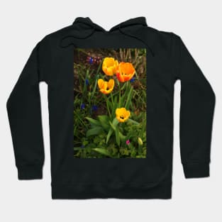 Tulips Hoodie